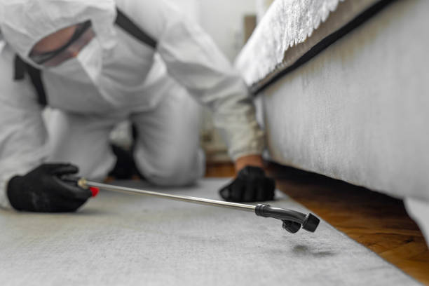 Professional Bed Bug Control technician working in Delaware City, DE