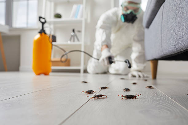 Trusted Termite Control service in Delaware City, DE - Nex Pest Control