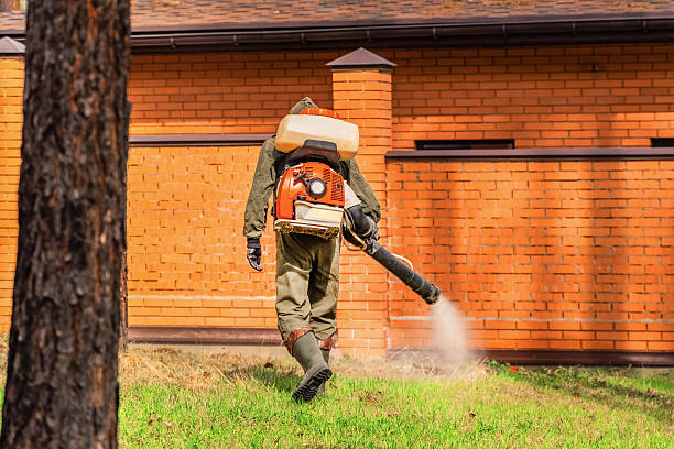Trusted Rodent Control service in Delaware City, DE - Nex Pest Control